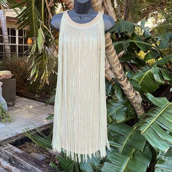 Ya Los Angeles Dresses & Skirts - Ya Los Angeles fringe dress